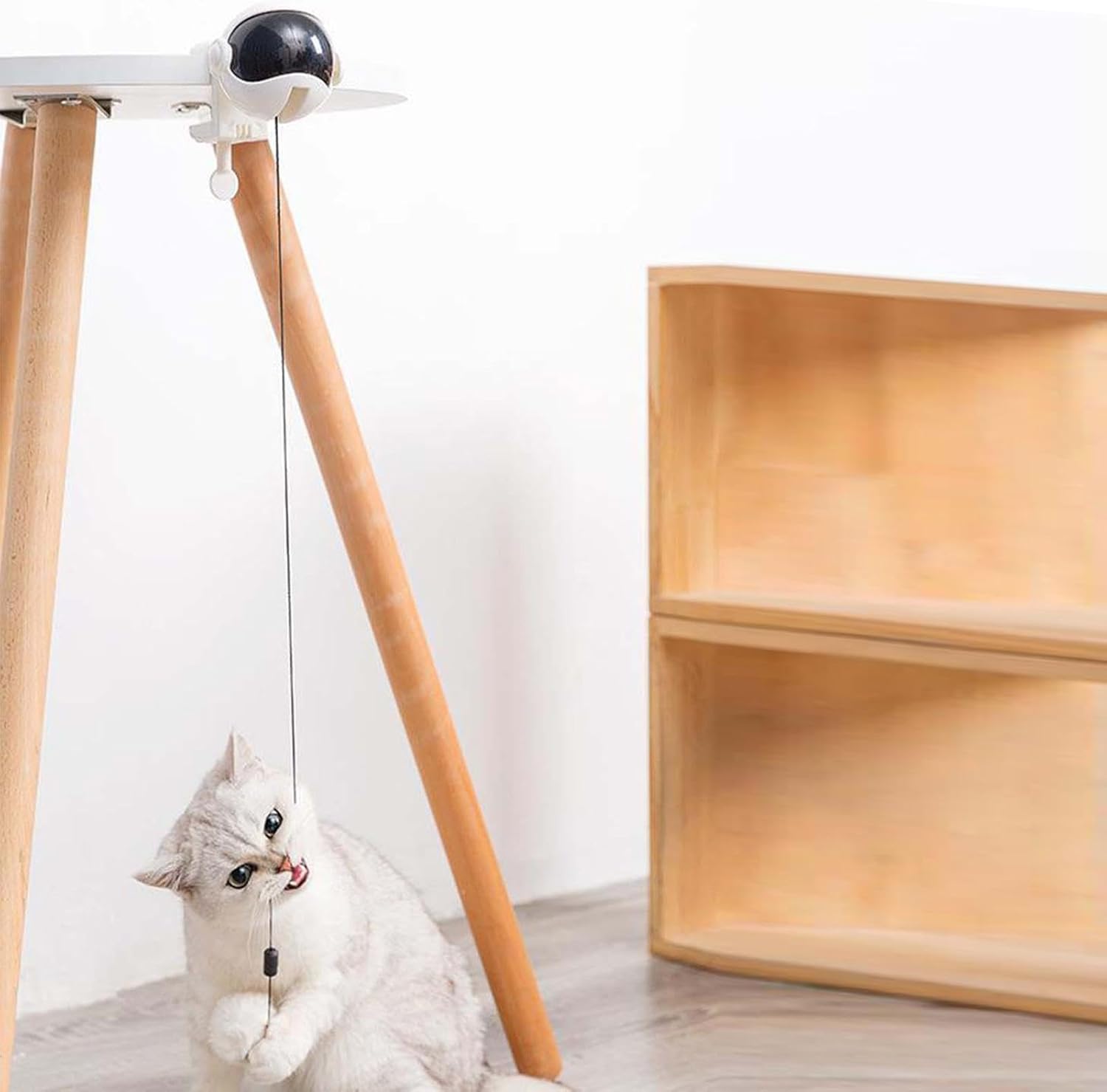 buy Automatic Ball Lifting Cat Toy