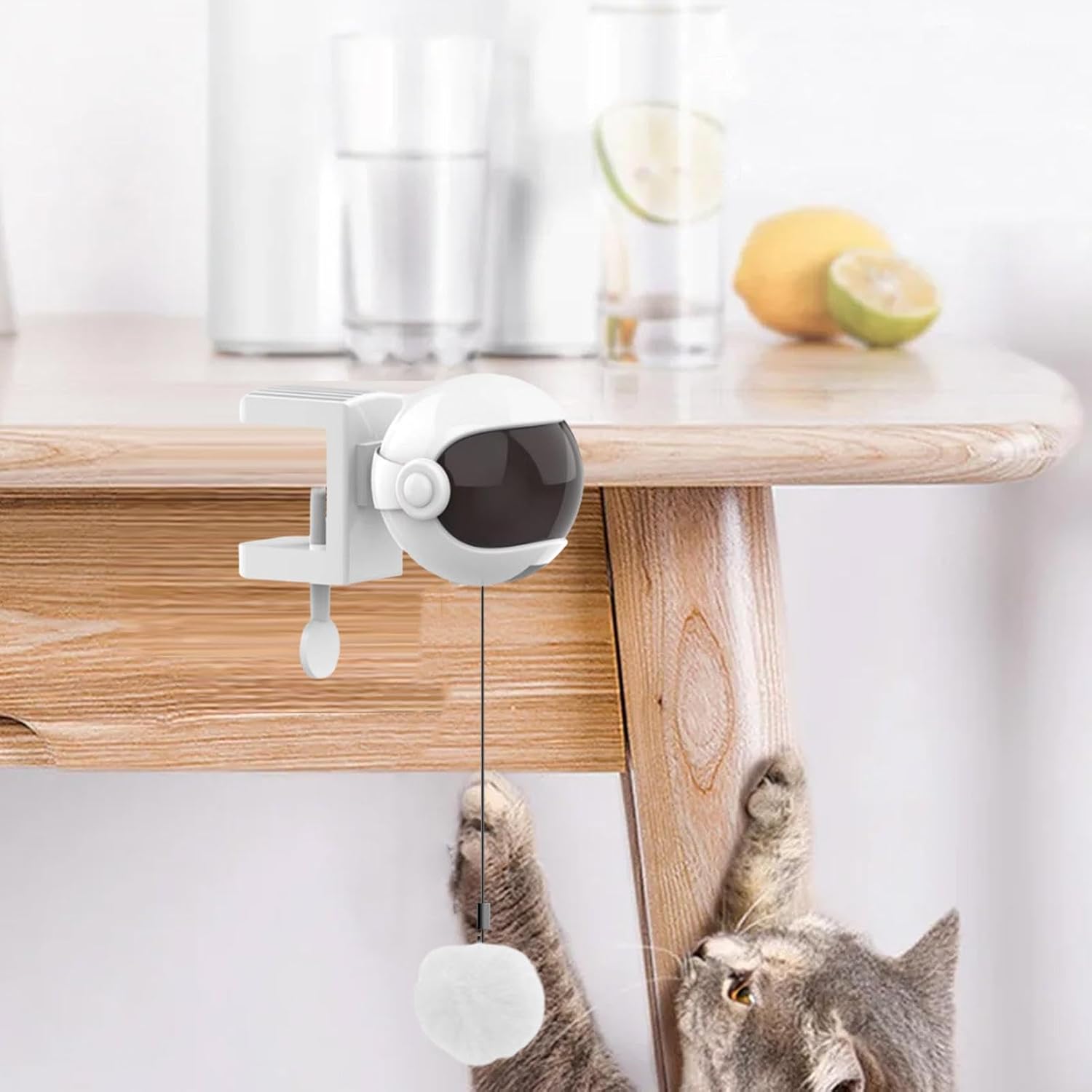 Automatic Ball Lifting Cat Toy img