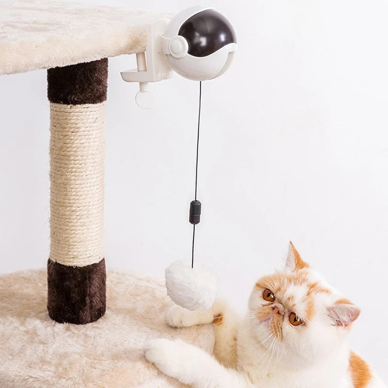 shop Automatic Ball Lifting Cat Toy