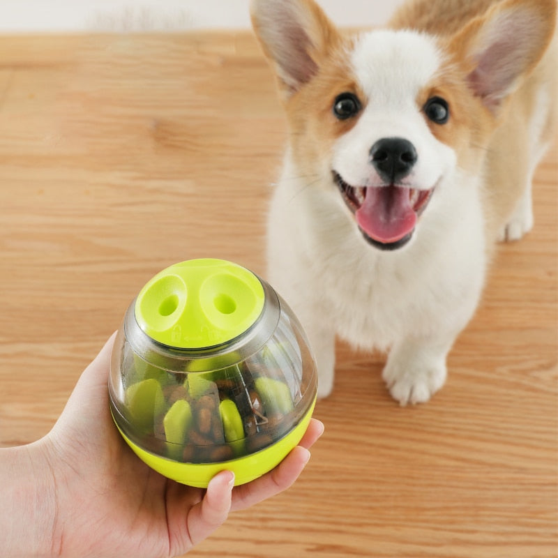 Interactive IQ Treat Toy boost pet IQ