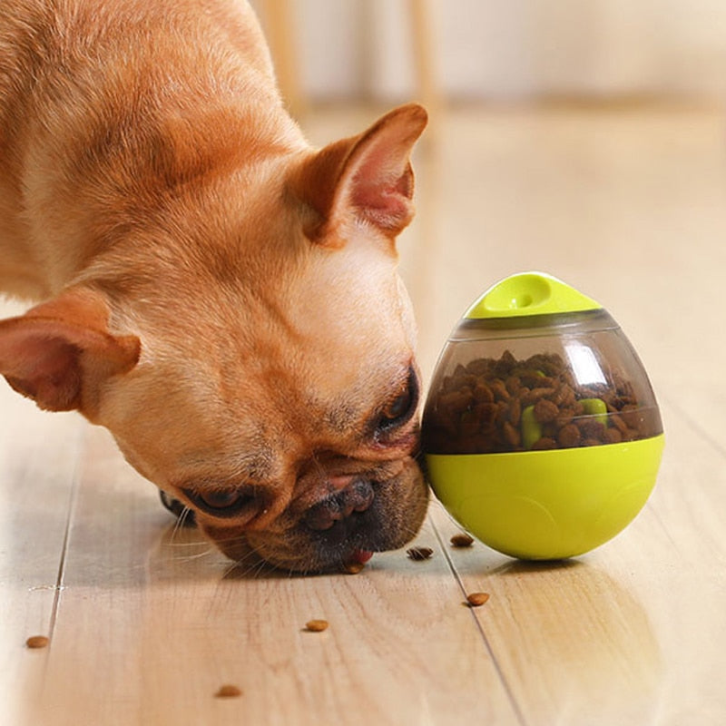 Interactive IQ Treat Toy